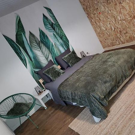 Vila Selenite, Chaleureuse Et Cocooning. Braux  Exteriér fotografie